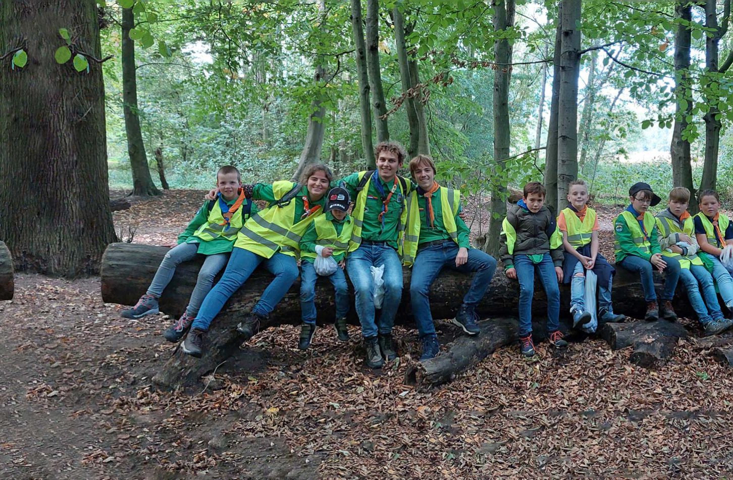 Welpen-boomstronk-groep